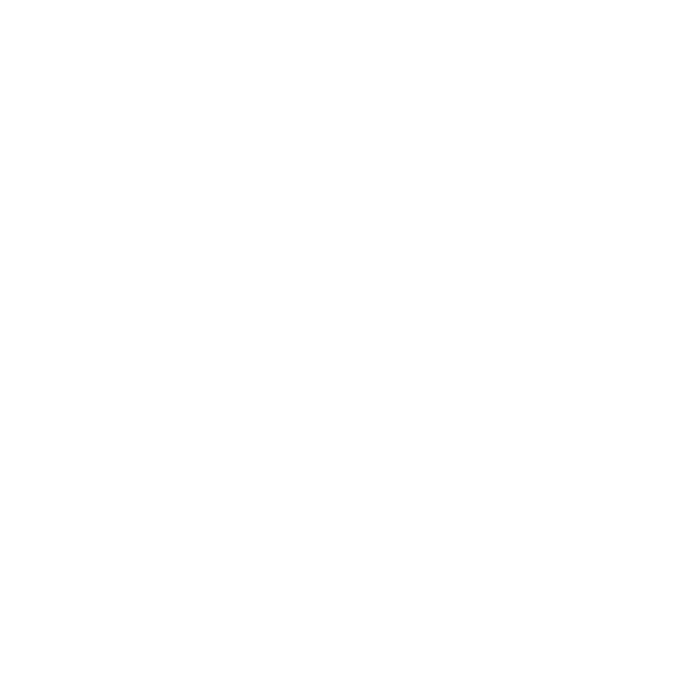 villa_logo (1)